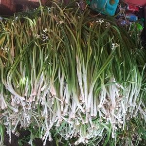 Meet your Posher, Johnny